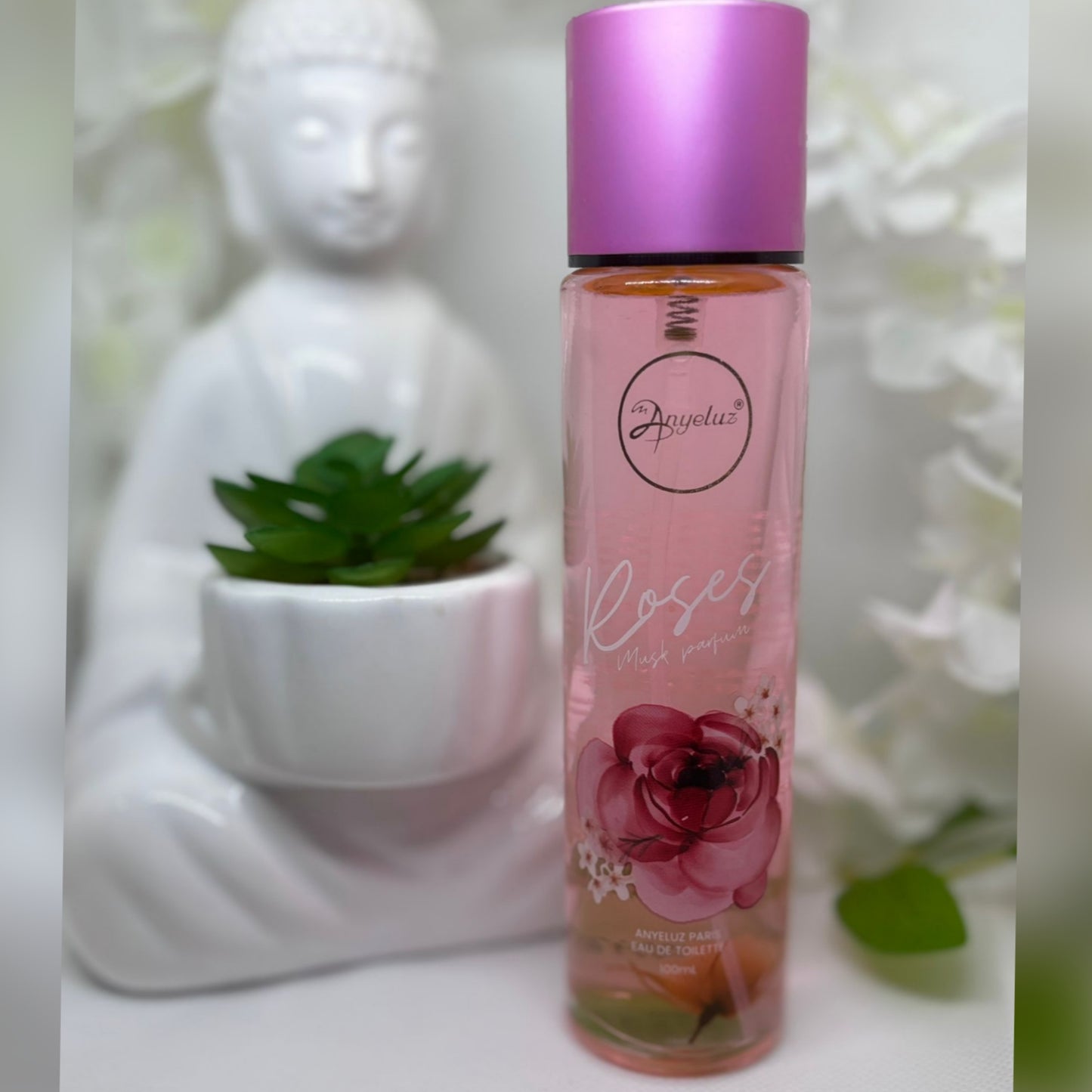 Perfume de Rosas, Anyeluz